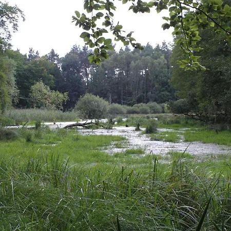 Holiday home Schlutt Carpin